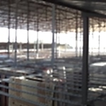 hali-kurutma-alanimiz