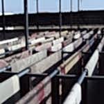 siltem-hali-temizleme-fabrikasi